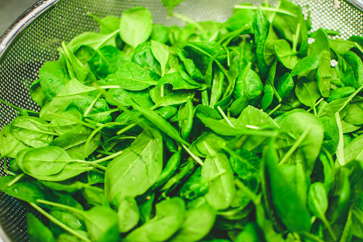 Fresh green spinach leaves in a metal colander.